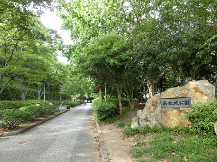 公園：浜松城公園　729m