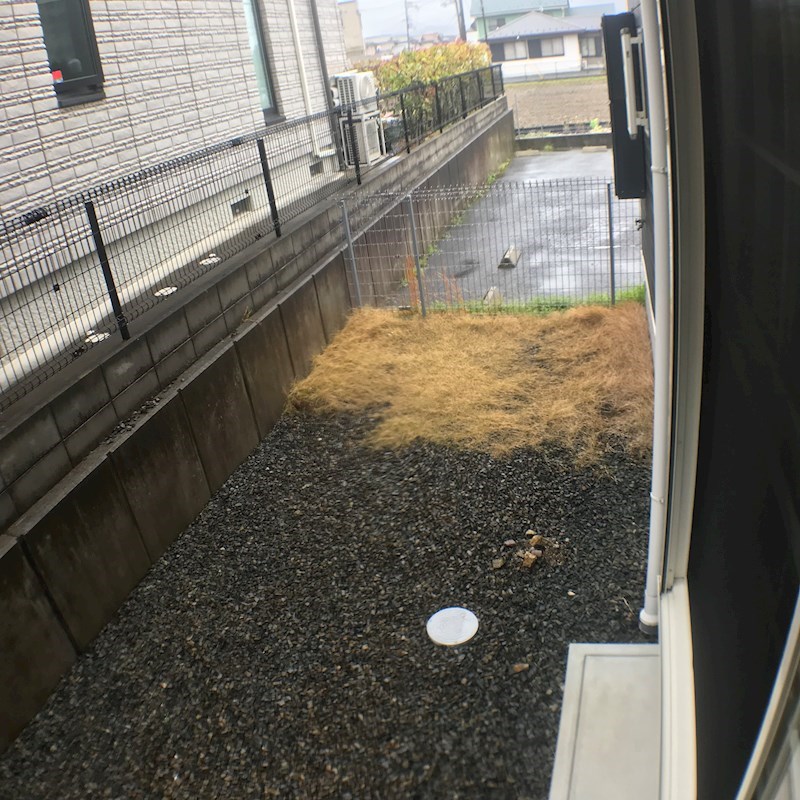 庭