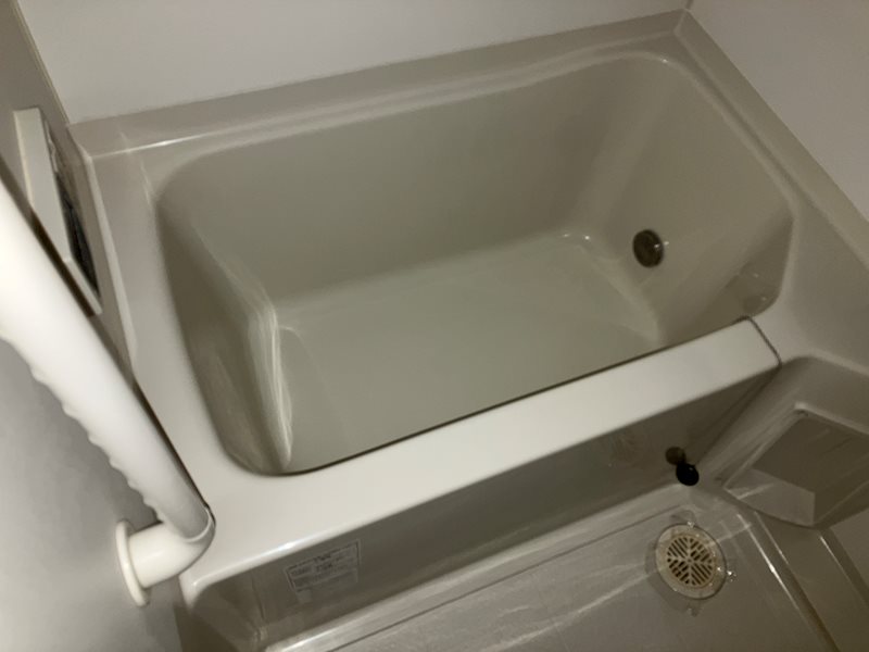 バス