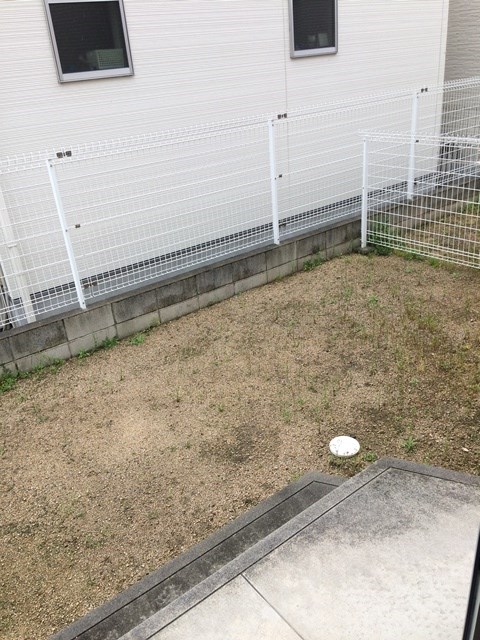 庭