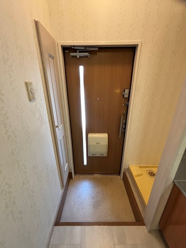色目が特徴の玄関ドア