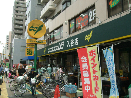 スーパー：ｻﾞ･ﾀﾞｲｿｰ ｺｺｽﾅｶﾑﾗ入谷店　253m　近隣