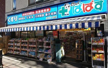 ドラッグストア：どらっぐ ぱぱす 小石川1丁目店　265m　近隣
