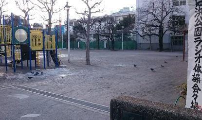 公園：石浜公園　608m