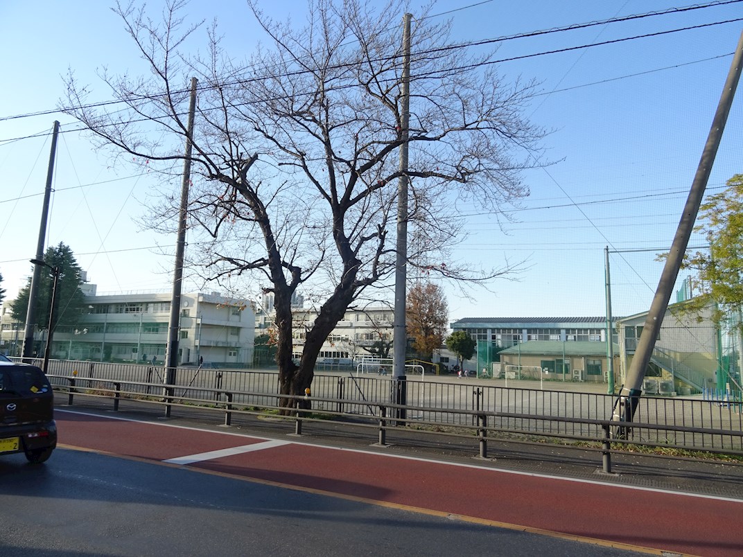 幼稚園：富士見市立 水谷小学校　294m