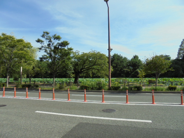 公園：福岡城跡･舞鶴公園　1151m　近隣