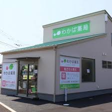 ドラッグストア：わかば薬局　230m