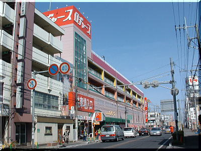 ショッピング施設：ロヂャース大成店　202m　近隣
