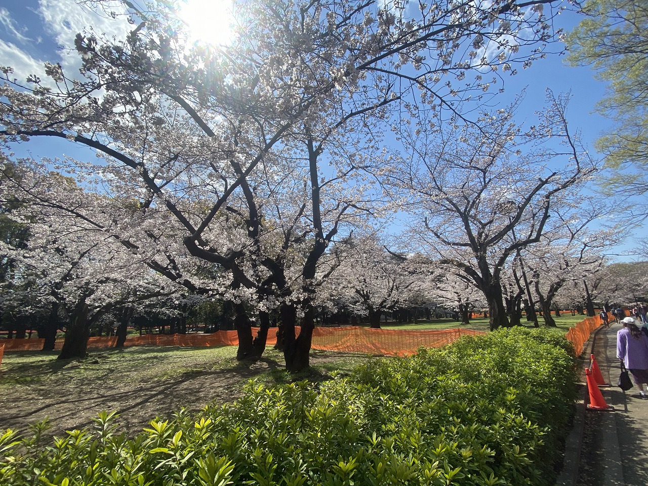 公園：代々木公園 南門　1396m