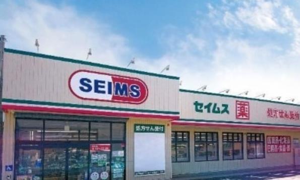 ドラッグストア：ﾄﾞﾗｯｸﾞｾｲﾑｽ 谷在家店　601m