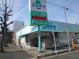 ドラッグストア：ﾄﾞﾗｯｸﾞｽｷﾞﾔﾏ 城西店　482m