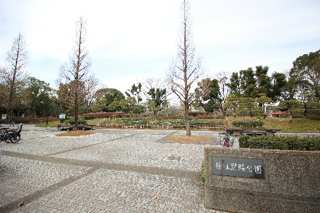 公園：猿江恩賜公園　501m　近隣