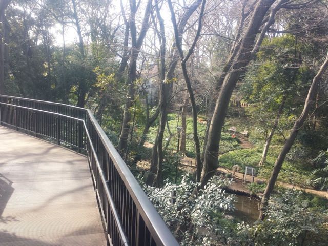 公園：おとめ山公園　381m