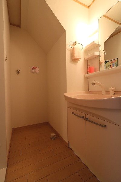 室内洗濯機置場とシャワー付洗面化粧台のある洗面所です。