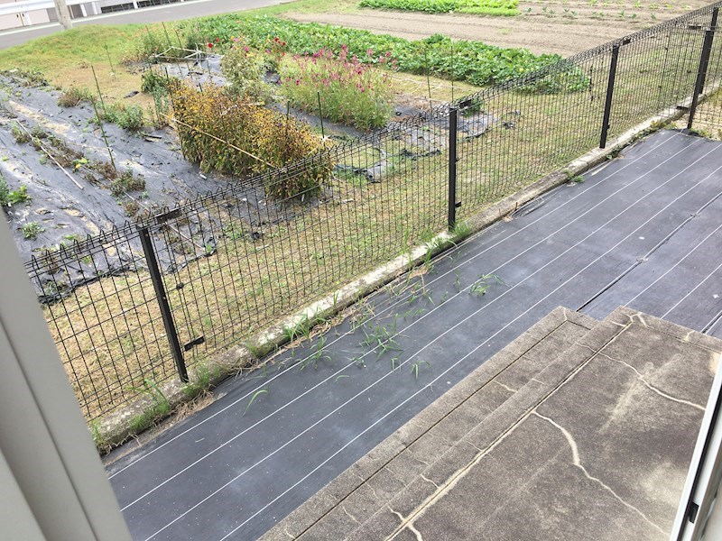 6.4帖洋室側テラスは専用庭となっています。