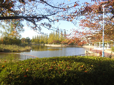 公園：城北公園　150m