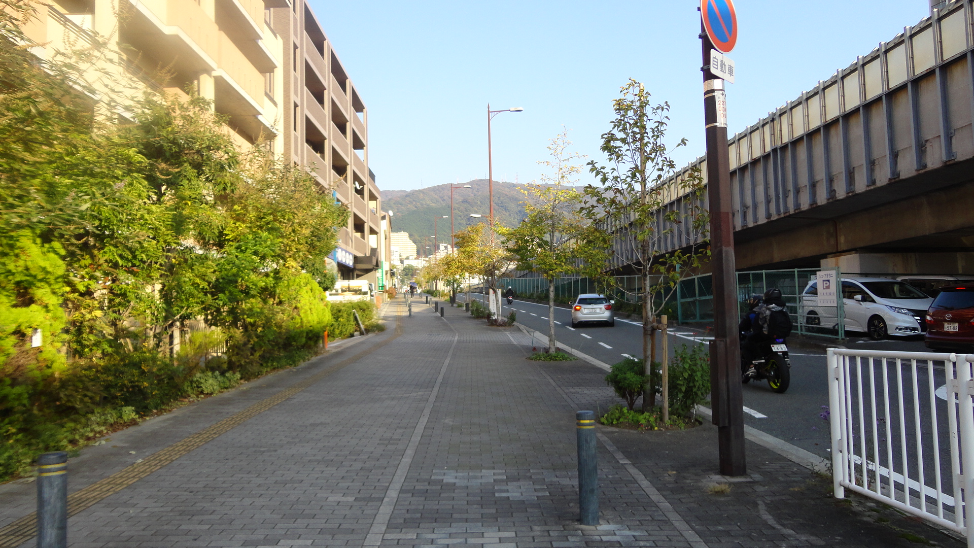 周辺の街並み：駅からの歩道　160m