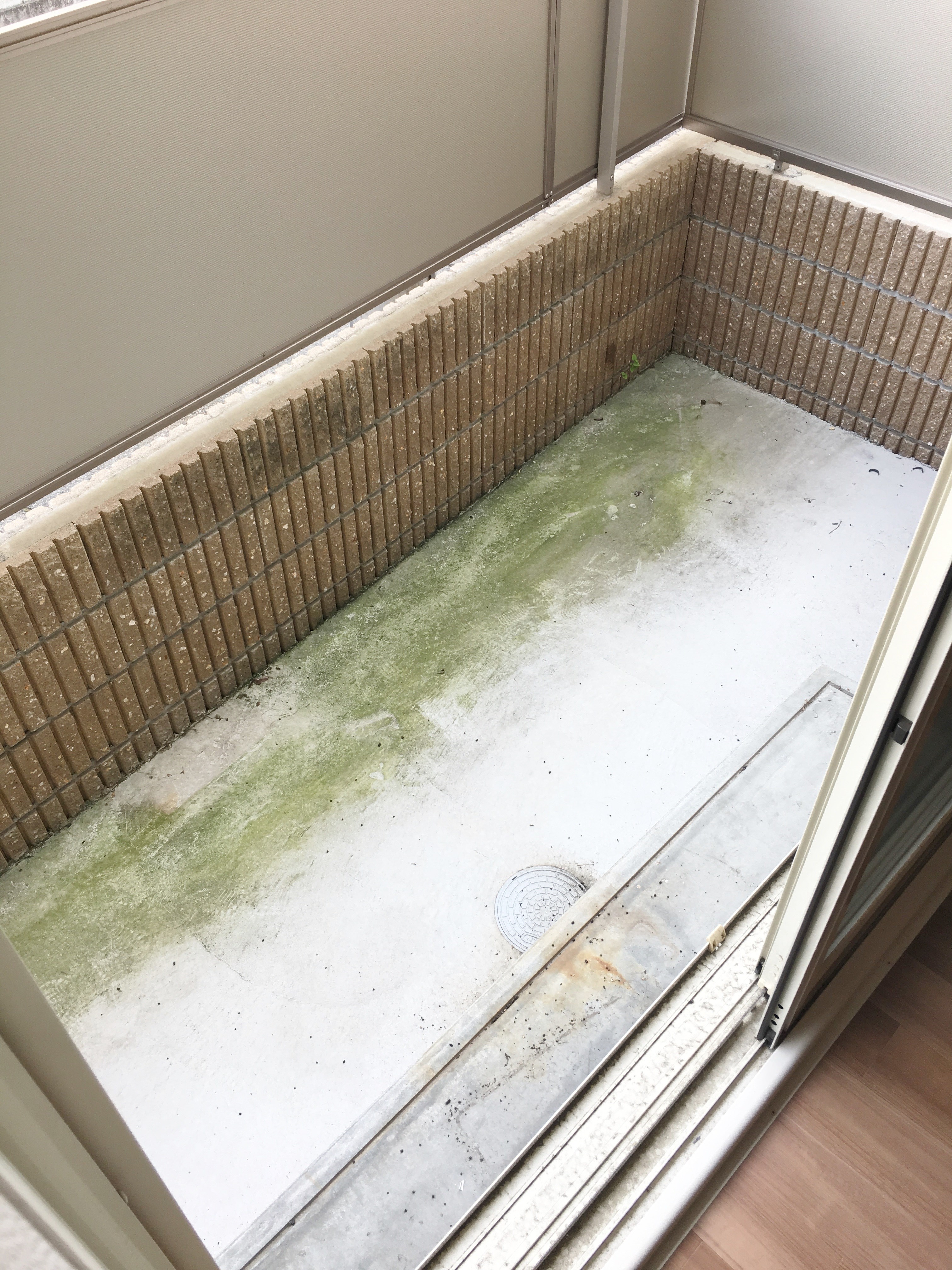 バルコニーは広々としています。