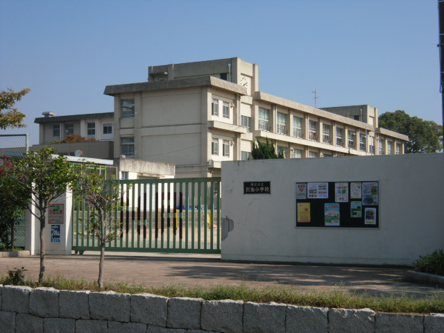小学校：明石市立沢池小学校　585m