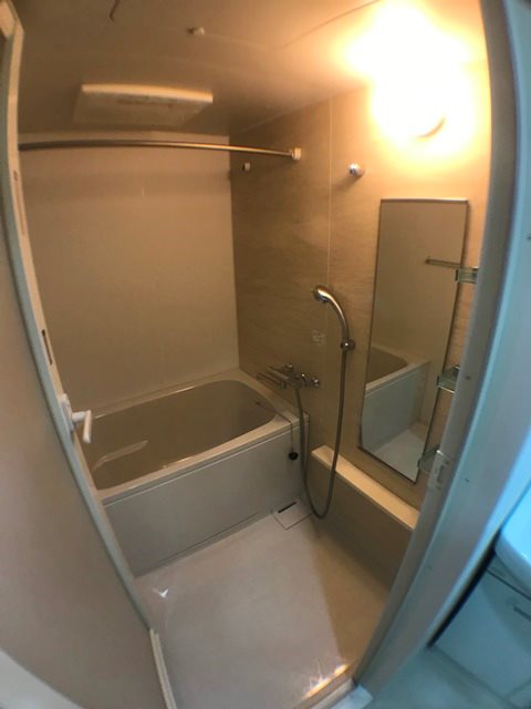 バス