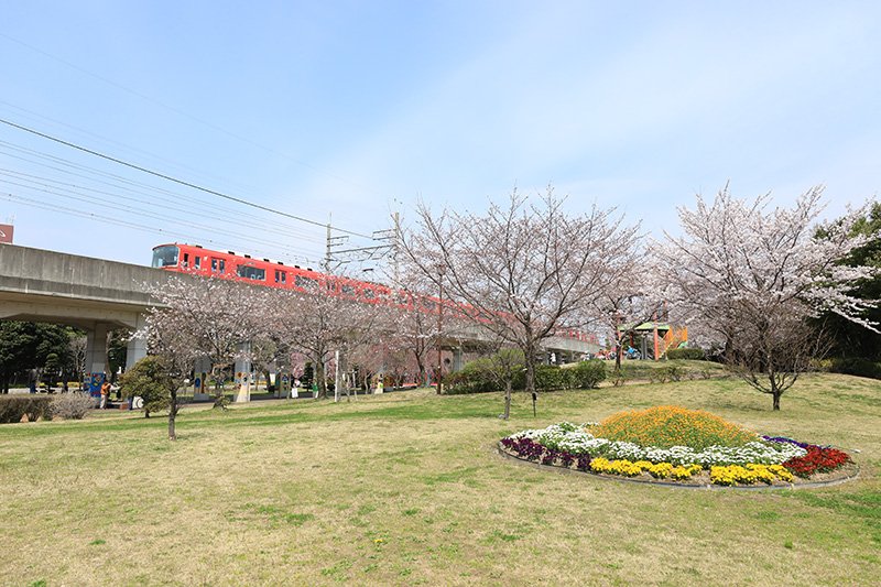 公園：梅ｹ枝公園　901m
