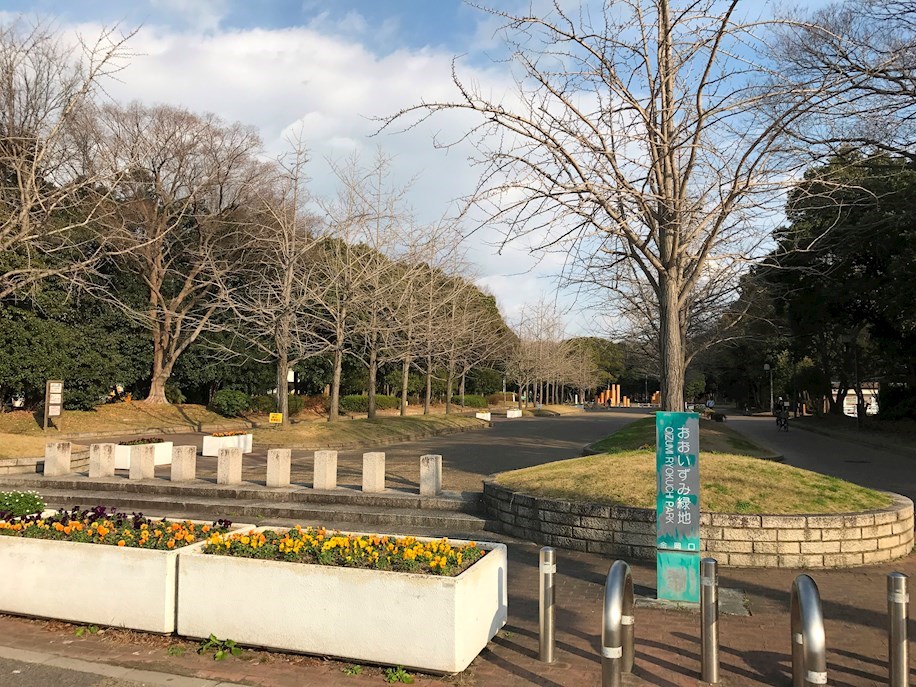 公園：大阪府営 大泉緑地　797m