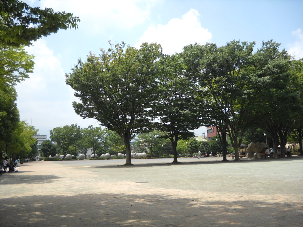公園：厚木中央公園　556m