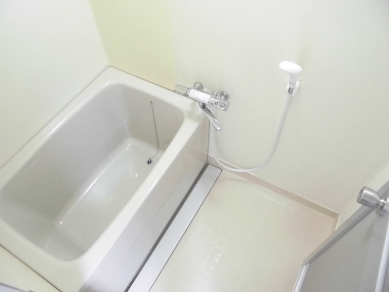 バス