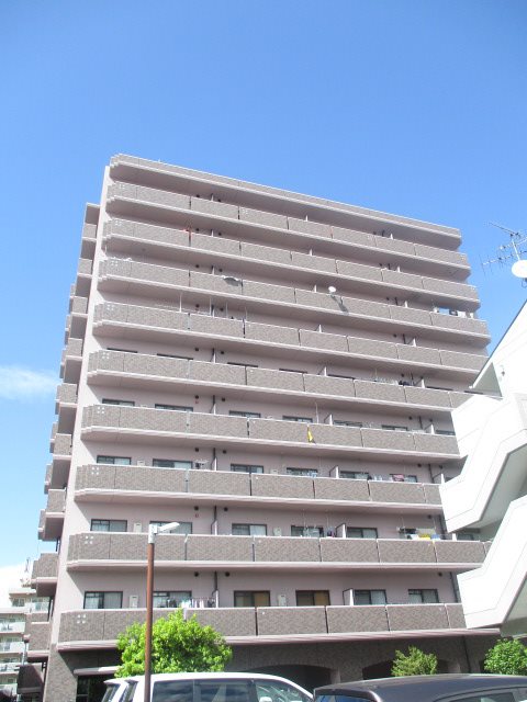 外観 外観