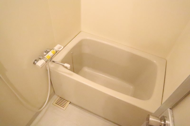 バス