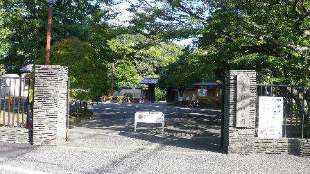 公園：新江戸川公園　348m