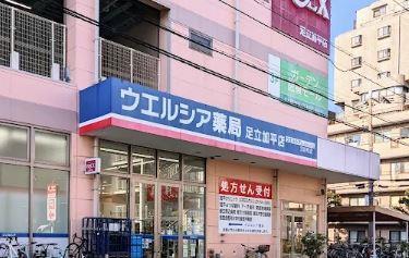 ドラッグストア：ウェルシア足立区加平　864m