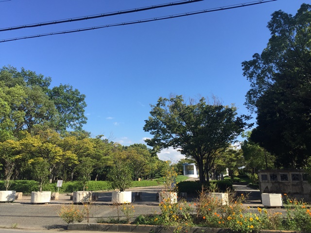 公園：中央公園　1118m