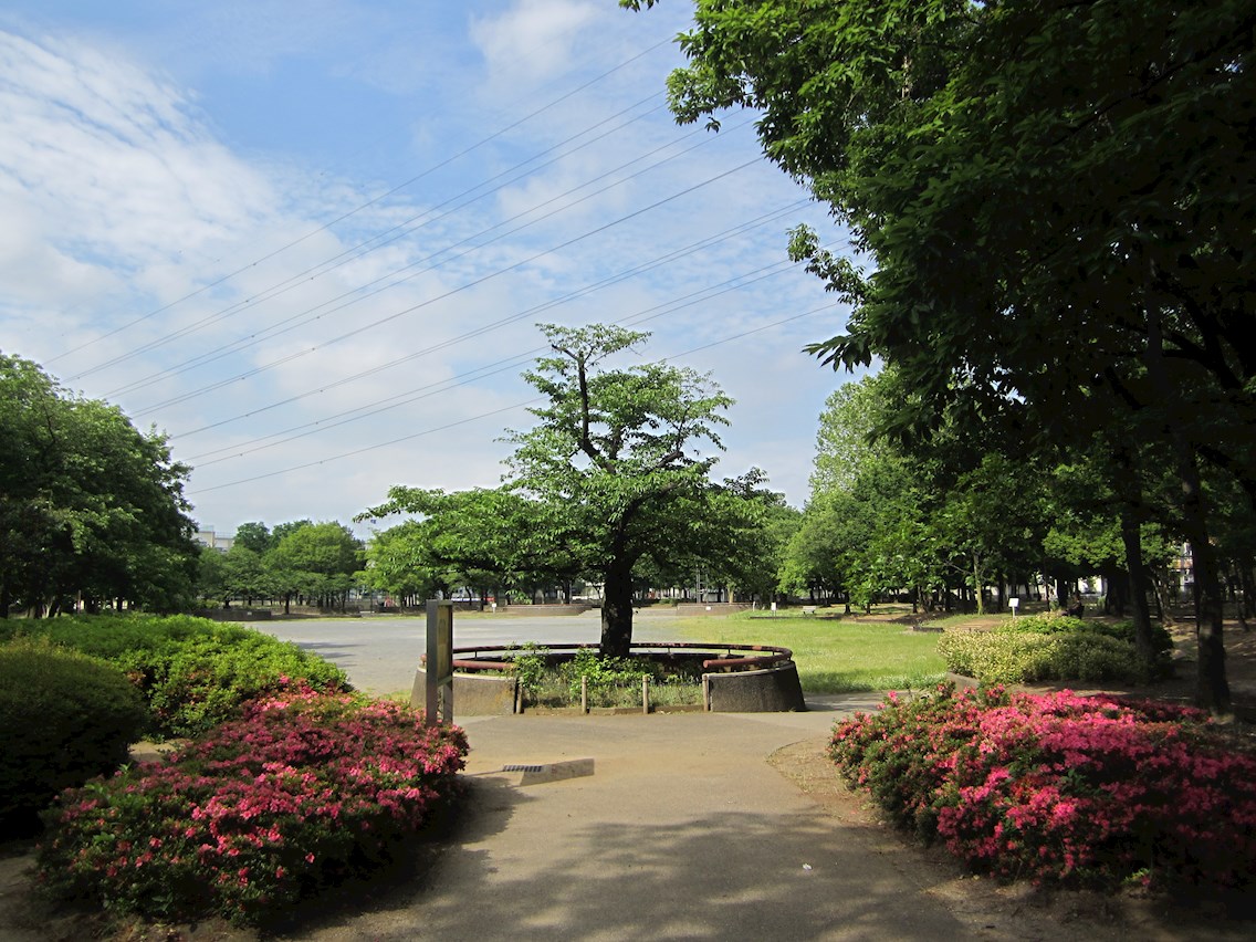 公園：谷在家公園　482m
