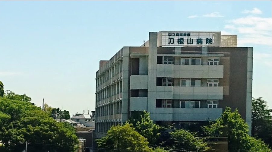 総合病院：国立病院機構 刀根山病院　240m