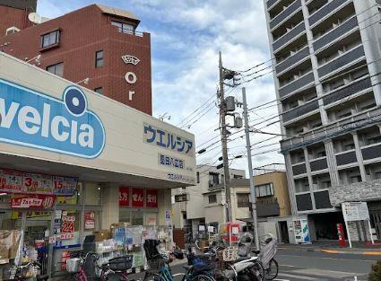 ドラッグストア：ｳｴﾙｼｱ墨田八広店　706m