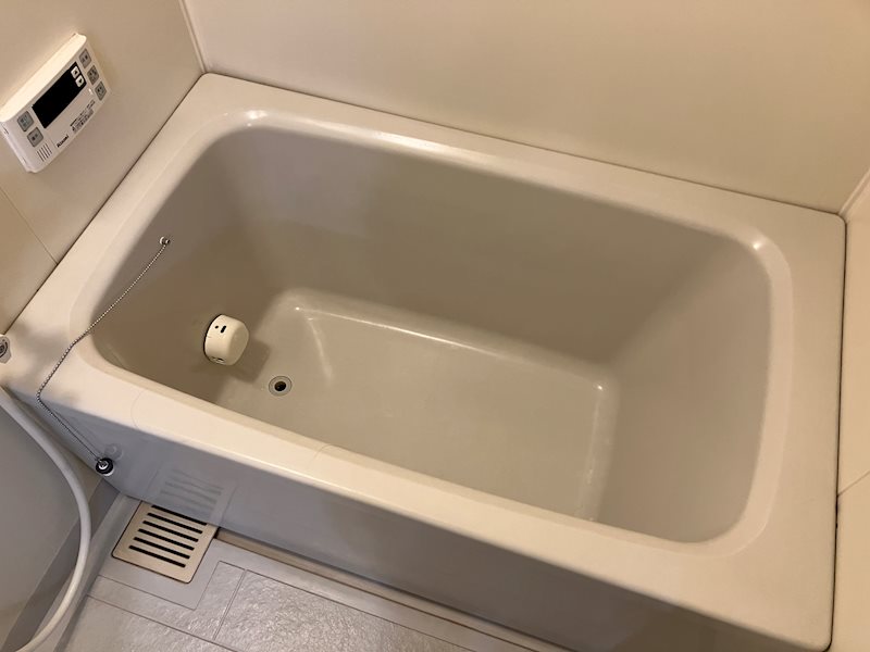 バス