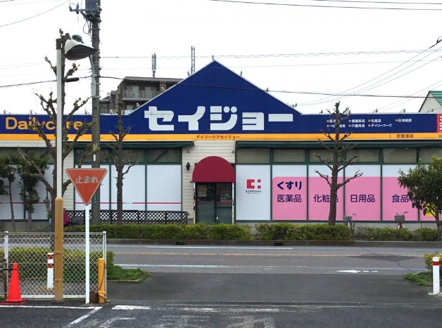 ドラッグストア：ﾃﾞｲﾘｰｹｱｾｲｼﾞｮｰ芝塚原店　1008m
