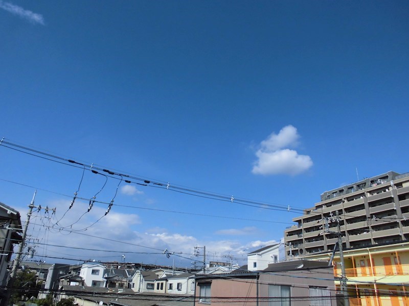 眺望