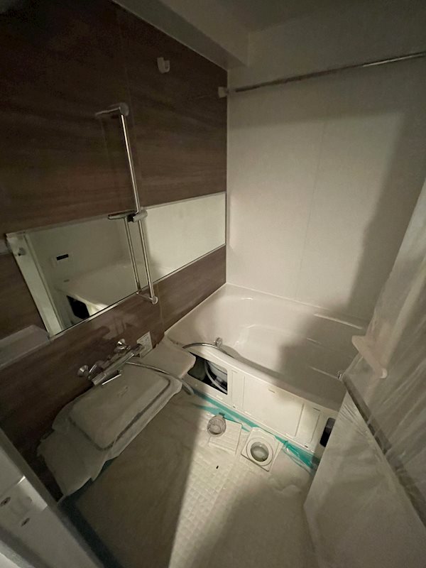 バス