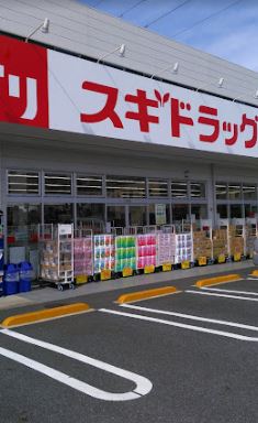 ドラッグストア：スギドラッグ 桶川末広店　892m