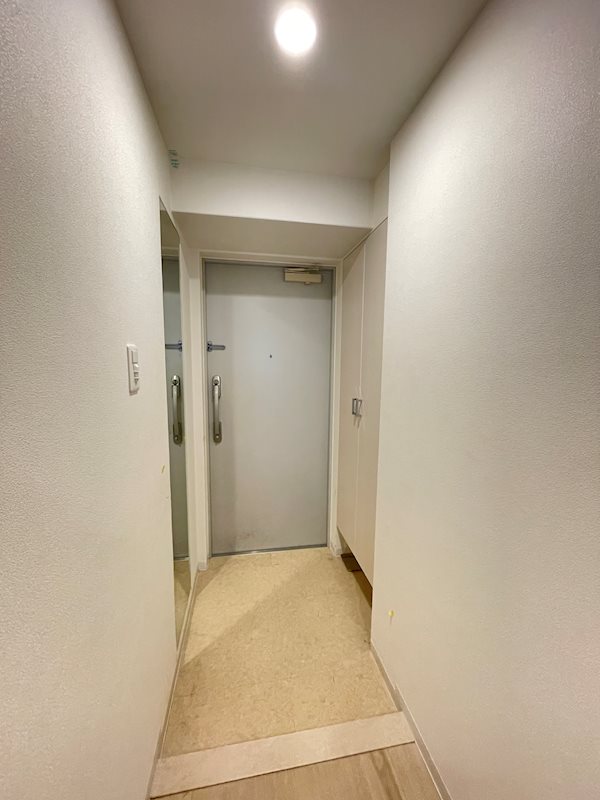 玄関姿見、シューズボックう