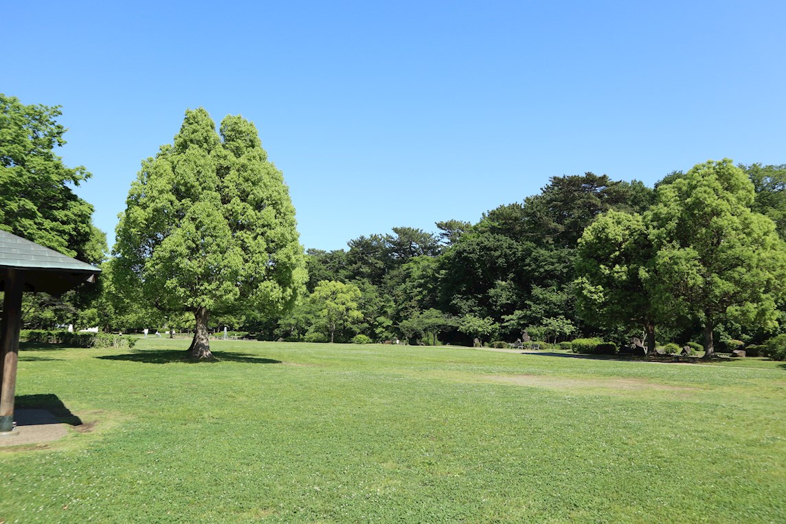 公園：岩槻城址公園　628m