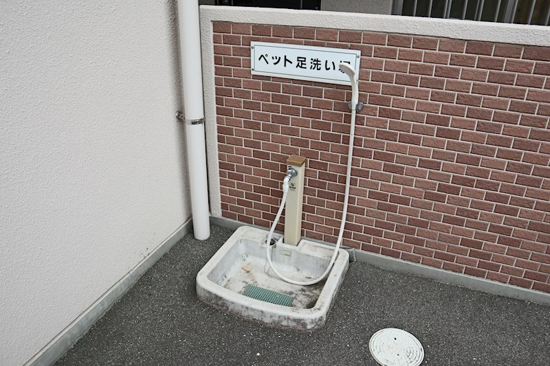 ペット足洗い場