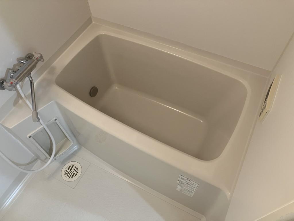バス