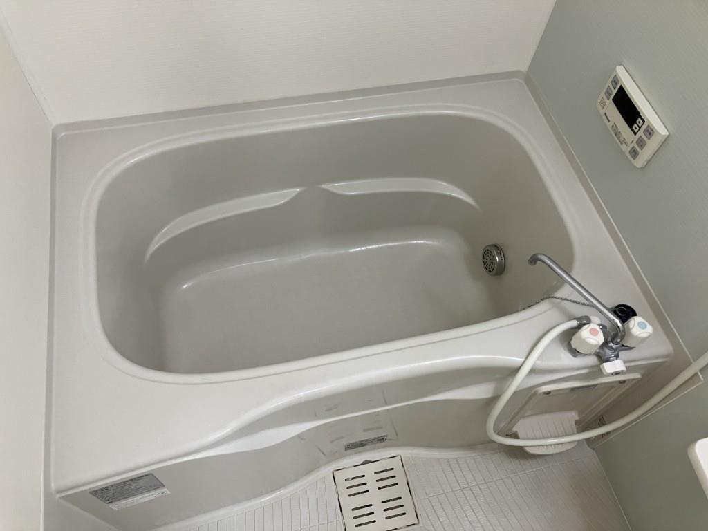 バス